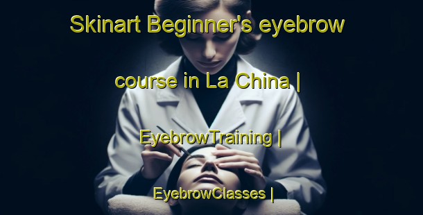 Skinart Beginner's eyebrow course in La China | EyebrowTraining | EyebrowClasses | SkinartTraining-Spain